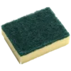 PROCLEAN|Scrub Sponge NYLON (1 Piece  Packing)|G415